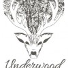 Underwood Farm Holidays