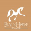 Black Horse Beamish