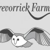 Trevorrick Farm Holiday Cottages