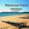 Blackmoor Farm Holidays