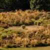 Mount Ephraim