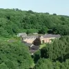 Fox & Hounds Country Hotel