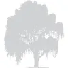 Willow Tree House