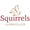 Squirrels Llangollen