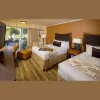 Royal Oak Hotel