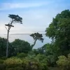 Birdsong & Admiral Cottage