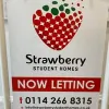 Strawberry Student Homes