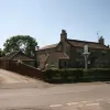 Great Danes
