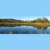 Denehurst Guest House