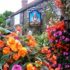 The Carpenter's Arms